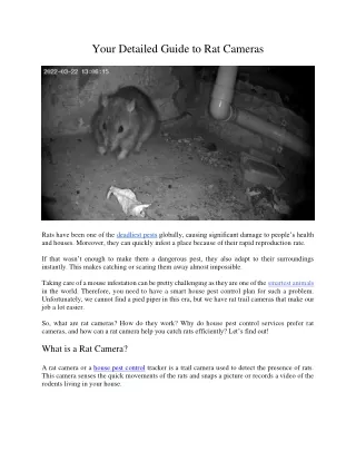 your detailed guide to rat cameras
