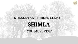 5 UNSEEN AND HIDDEN GEMS OF SHIMLA YOU MUST VISIT
