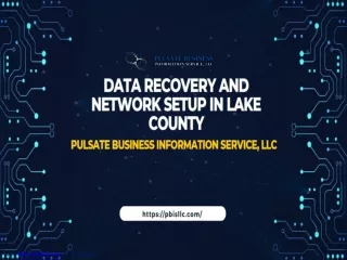 Data Recovery and Network Setup in Lake County