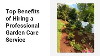 Benefits of Hiring a Professional Garden Care Service