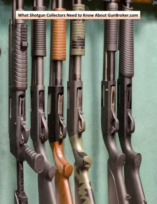 What Shotgun Collectors Need to Know About GunBroker.com