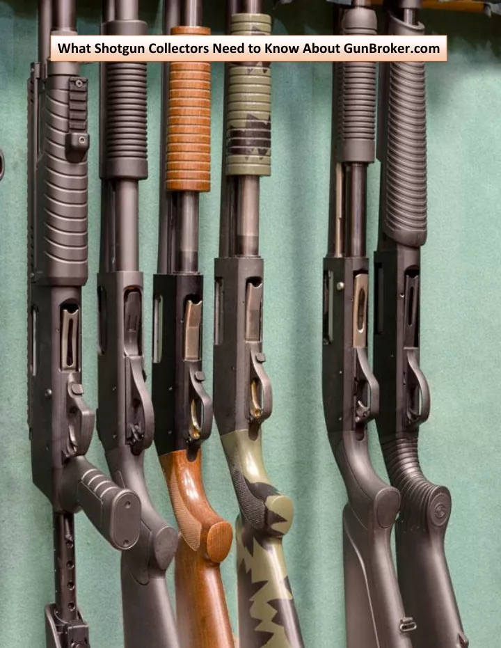 what shotgun collectors need to know about