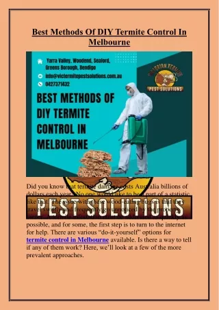 Best Methods Of DIY Termite Control In Melbourne