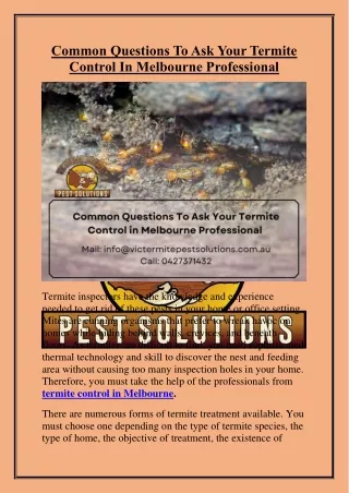 Common Questions To Ask Your Termite Control In Melbourne Professional