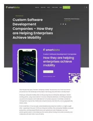 Custom Software Development Companies – How they are Helping Enterprises Achieve
