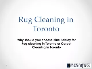 Rug Cleaning in Toronto
