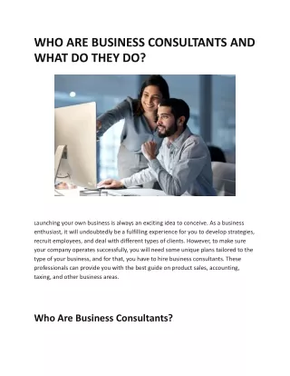 Who are Business Consultants And What Do They Do
