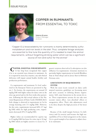 issue focus