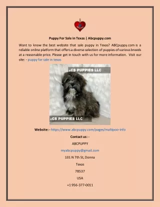 puppy for sale in texas abcpuppy com
