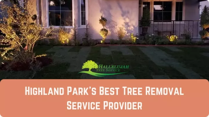 highland park s best tree removal
