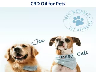cbd oil for pets