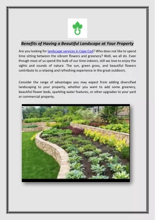 Beautiful Landscape at Your Property