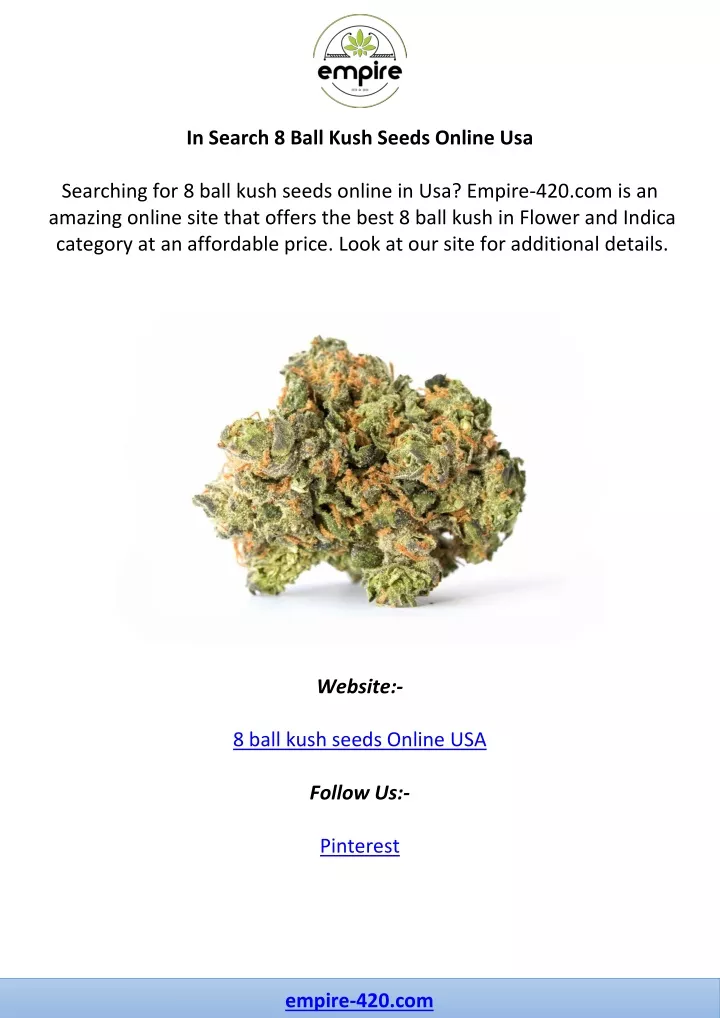 in search 8 ball kush seeds online usa