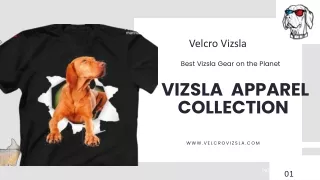 Buy Vizsla T-Shirt in Unique Designs for Men, women & Kids