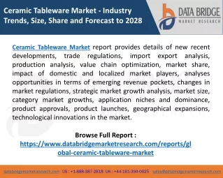 ceramic tableware market industry trends size