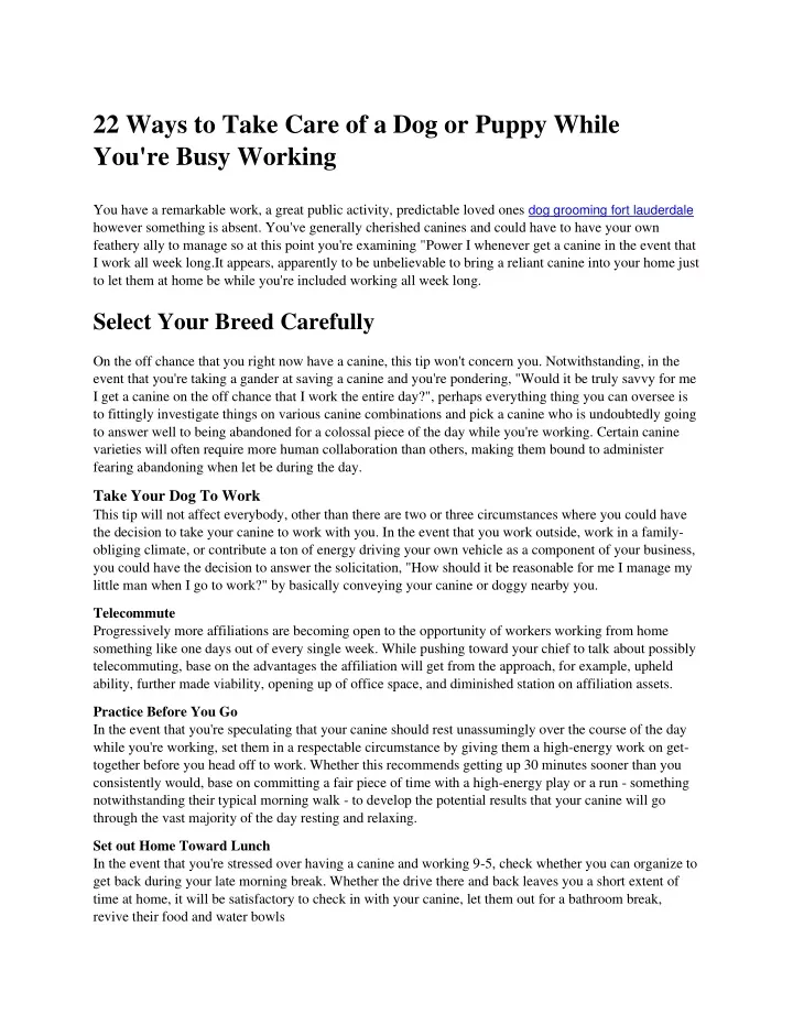 22 ways to take care of a dog or puppy while