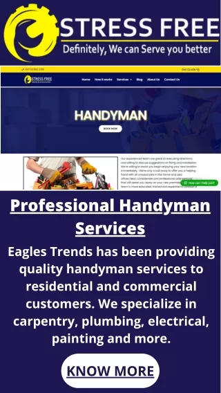 Professional Handyman Services