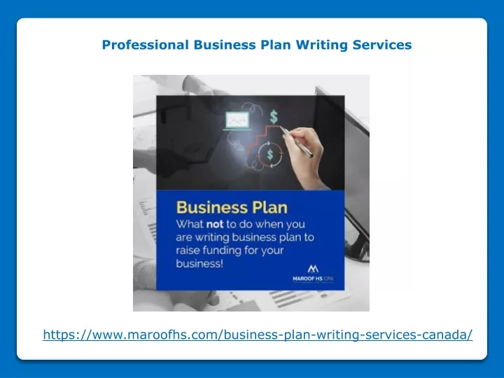 professional business plan writing services