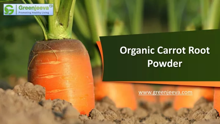 organic carrot root powder