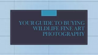 Your guide To Buying Wildlife Fine Art Photography
