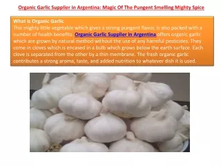 Organic Garlic Supplier in Argentina: Magic Of The Pungent Smelling Mighty Spice
