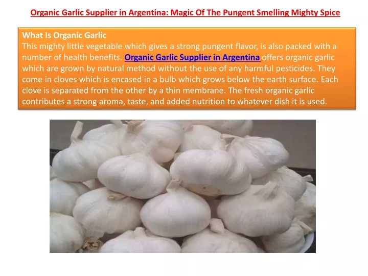organic garlic supplier in argentina magic of the pungent smelling mighty spice