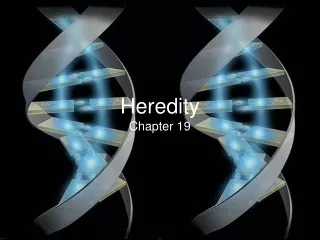 Heredity (part 1): Monohybrid cross & test cross