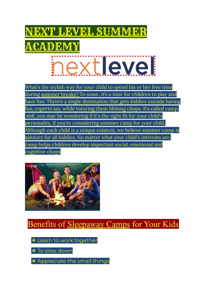 next level summer academy