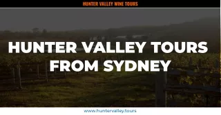 Learn about the attractions of Hunter Valley wine tours