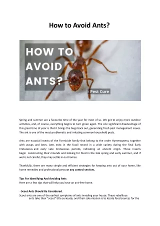 Tips For Identifying And Avoiding Ants