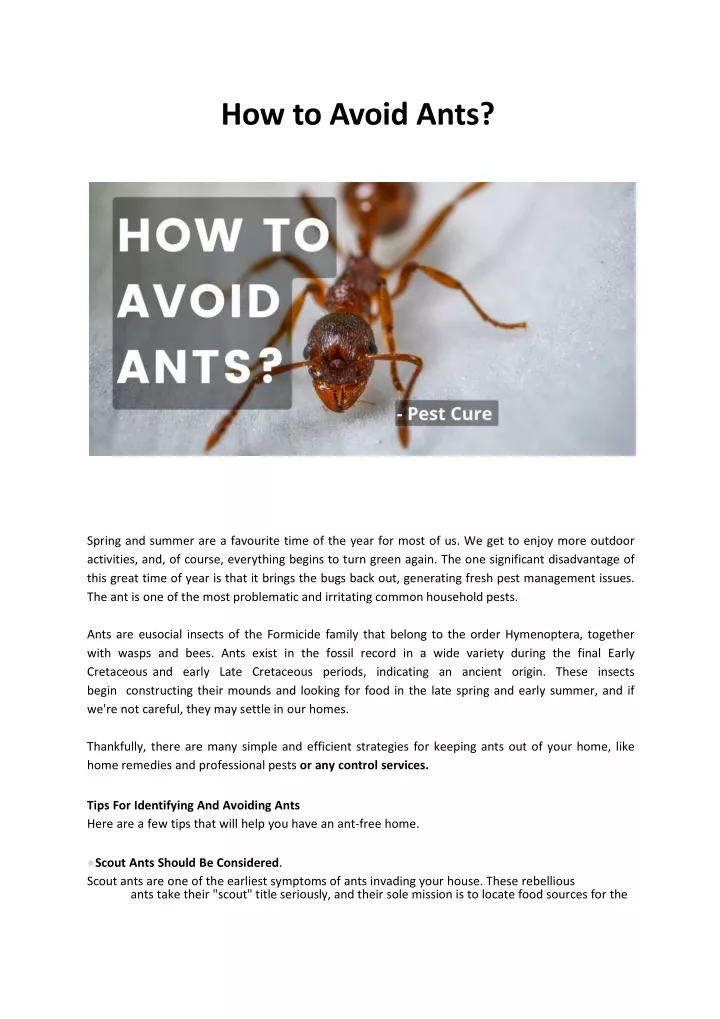 how to avoid ants