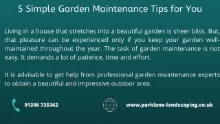 5 Simple Garden Maintenance Tips for You