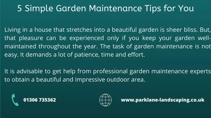 5 simple garden maintenance tips for you