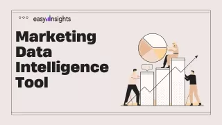 Marketing Data Intelligence Tool