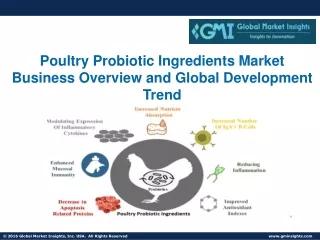 Poultry Probiotic Ingredients Market to Witness Robust Expansion by 2027