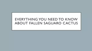 Everything you need to know about Fallen Saguaro Cactus