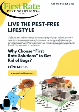 Cockroach control Westchester |  Cockroach control Ulster
