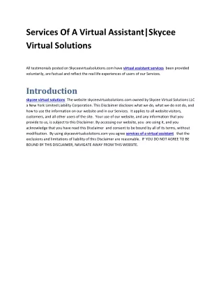Best Virtual Assistant Service ProviderSkycee Virtual Solutions