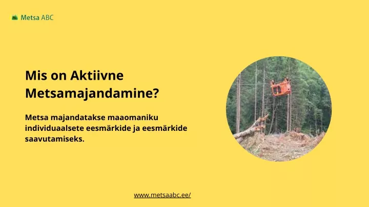 mis on aktiivne metsamajandamine