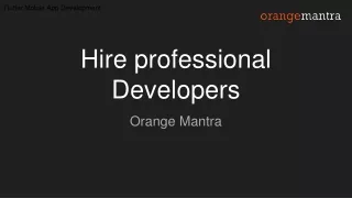 hire professional developers
