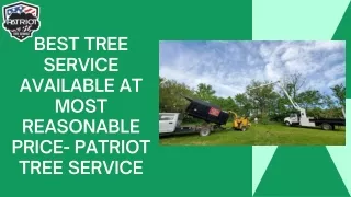 Best Tree Service Available at Most reasonable Price- Patriot Tree Service