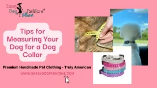 Tips for Measuring Your Dog for a Dog Collar