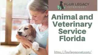 Legacy Vet Clinic Florida |  Four Legacy Veterinary