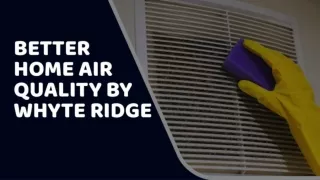 Better Home Air Quality By Whyte Ridge