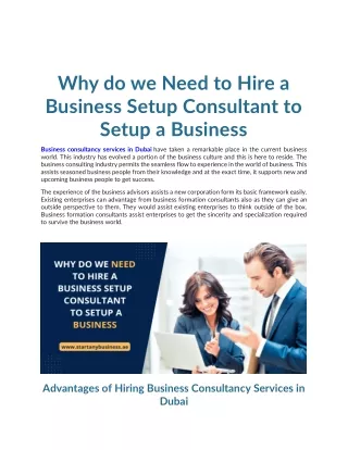 Why do we Need to Hire a Business Setup Consultant to Setup a Business