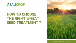 How to choose the right wheat seed treatment