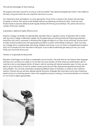 the real key advantages of pup coaching