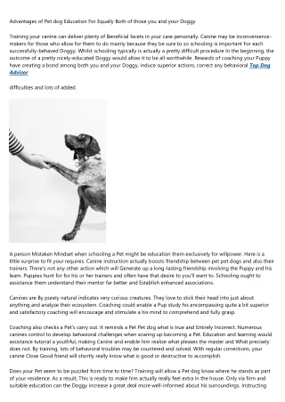25 Surprising Facts About Top Dog Advisor