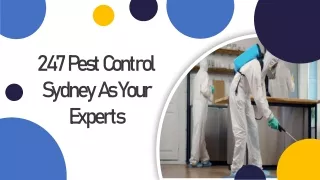 247 Pest Control Sydney