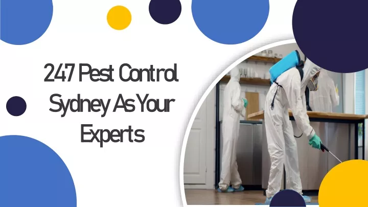 247 pest control sydney as your experts